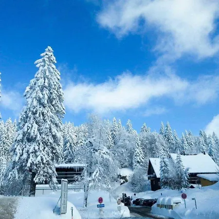 H&p Touristik Residenz Grafenmatt Gra-3-2 Apartament